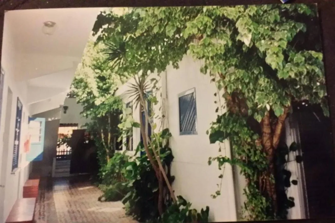 Corredor antigo com jardim e trepadeira