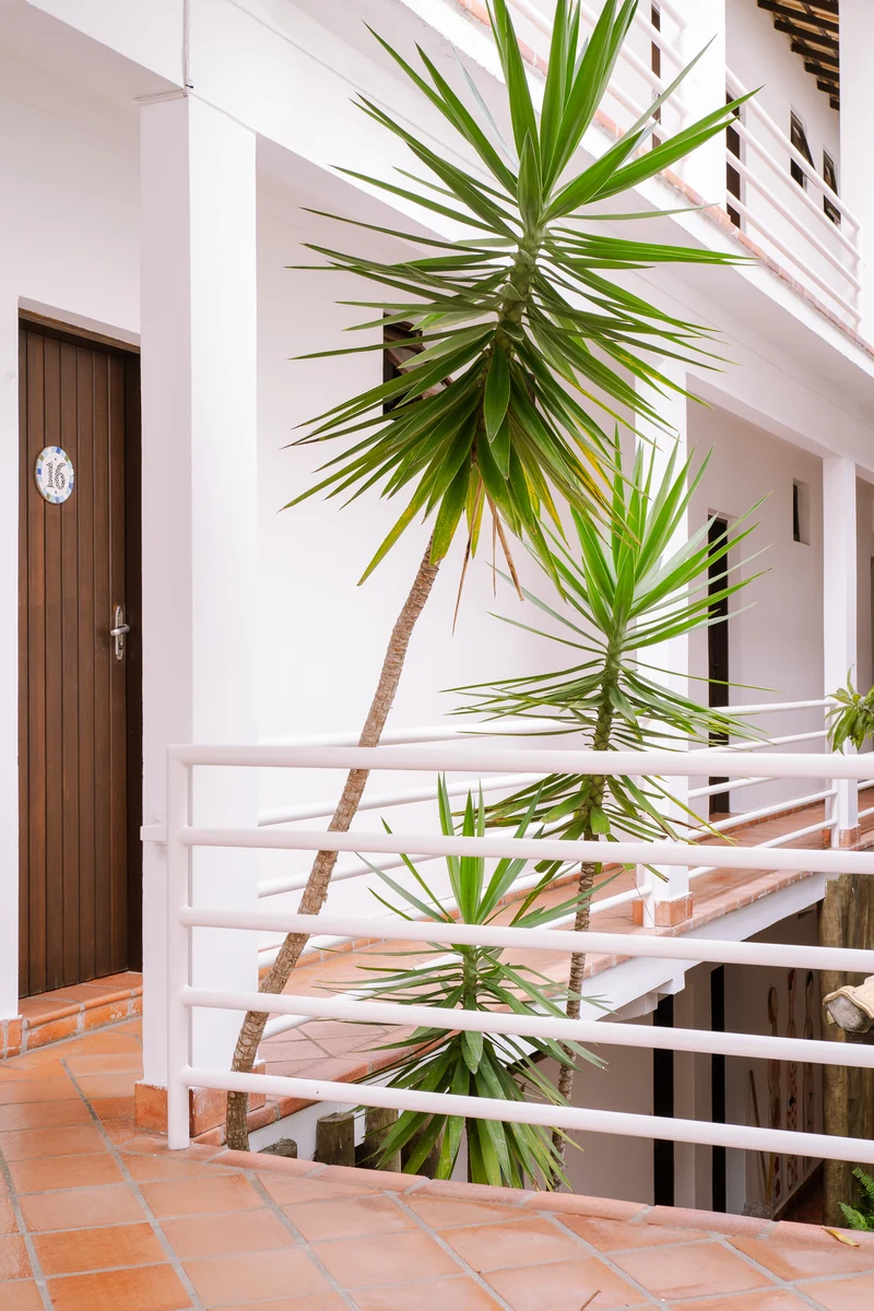 Corredor dos quartos com palmeira e guarda-corpo branco